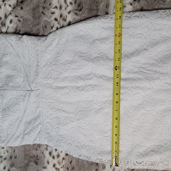 NWT EXPRESS Scalloped Lace Midi Sheath Dress - Picture 12 of 15